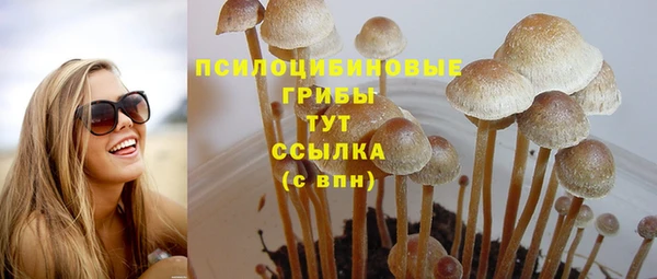 Альфа ПВП Балахна