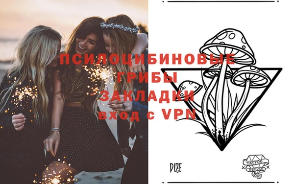 Альфа ПВП Балахна