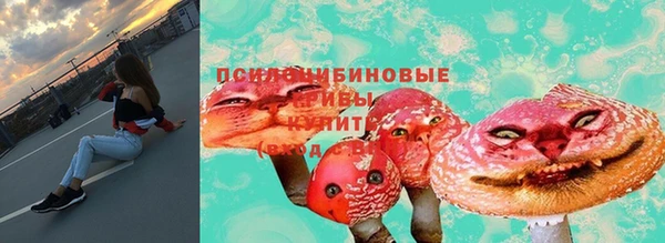 дмт Балабаново