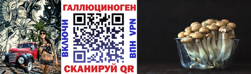 Галлюциногенные грибы Psilocybe  как найти наркотики  Нерюнгри 